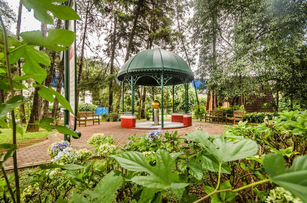 Hotel Recanto Das Hortensias Passa Quatro Ngoại thất bức ảnh